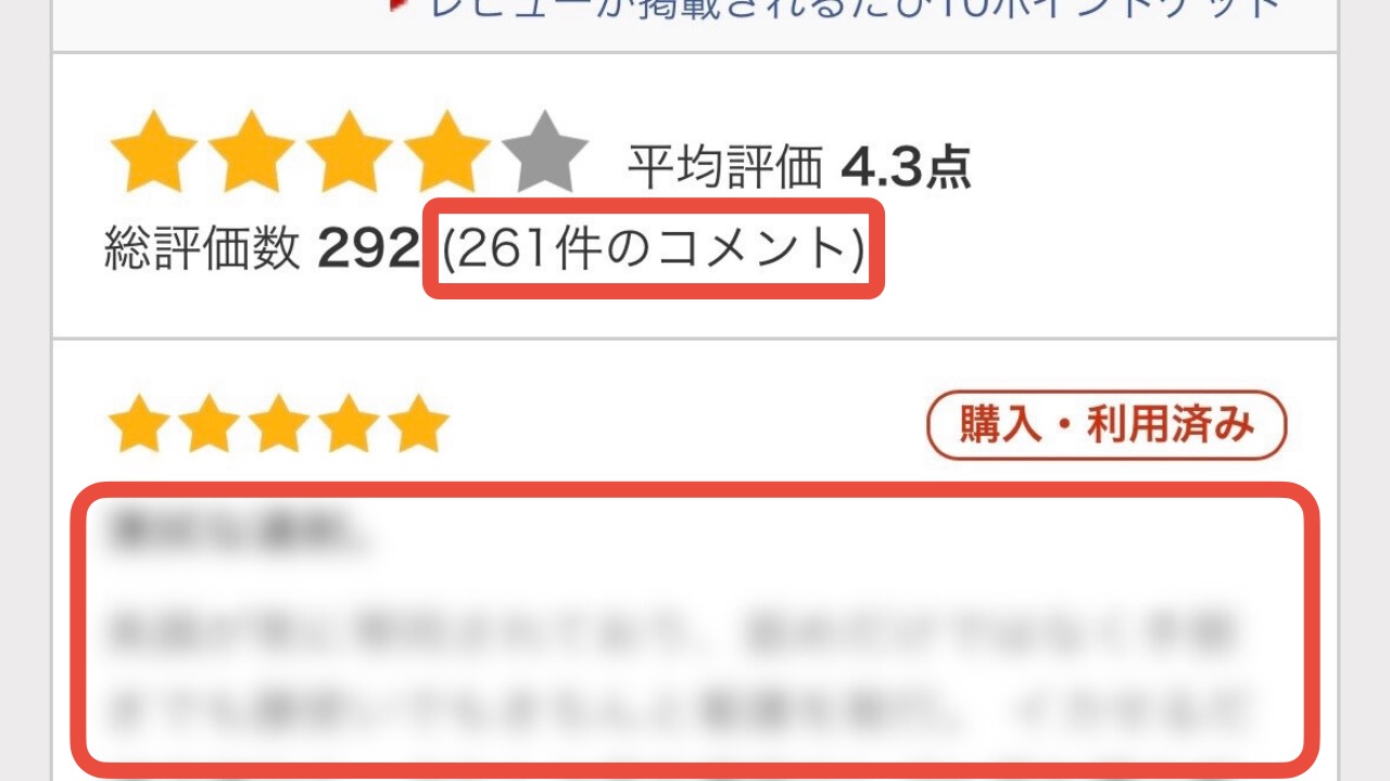 コメントのイメージ図