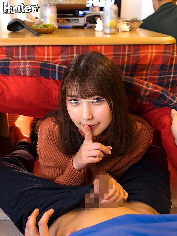 こたつのジャンル画像①です