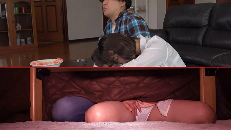 こたつのジャンル画像②です